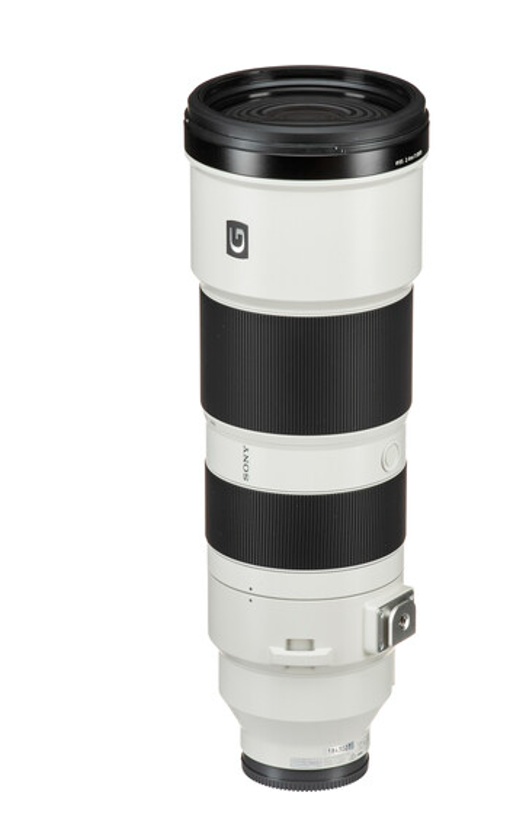G F5.6-6.3 200-600mm FE SONY レンタル] ズームレンズ OSS G 5.6-6.3/200-600 FE SONY OSS ソニーEマウント望遠 - レンズ(ズーム)